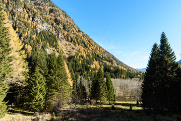 Wei&szlig;pirachbach Tal im Herbst in den Alpen in &Ouml;sterreich