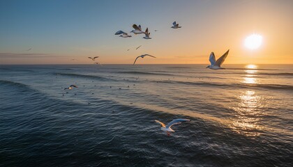 Fototapeta premium seagulls on the ocean at sunset