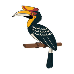 Fototapeta premium malabar pied hornbill