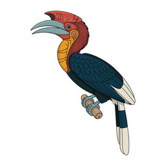 Fototapeta premium rufous necked hornbill