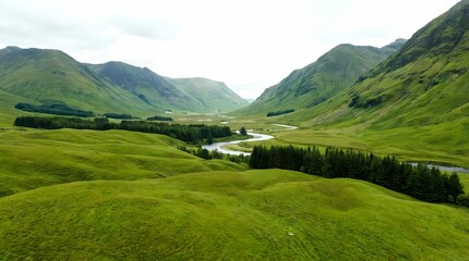 Fitness Woman Performing Abdominal Exercise on Floor Smiling