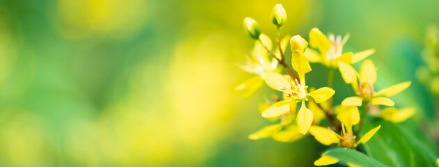 Naturally inspired, beautifully created — feel the calm of green serenity