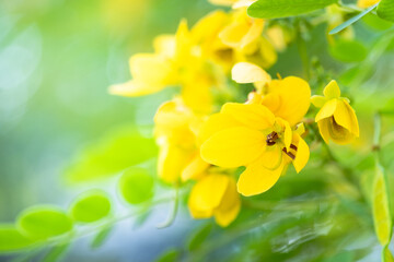 Naturally inspired, beautifully created — feel the calm of green serenity