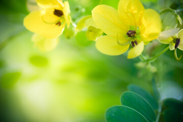 Naturally inspired, beautifully created &mdash; feel the calm of green serenity