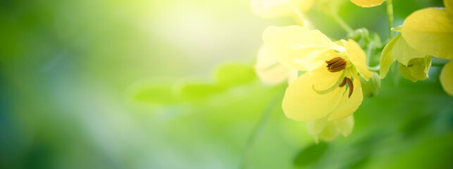 Naturally inspired, beautifully created — feel the calm of green serenity