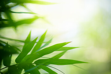 Naturally inspired, beautifully created — feel the calm of green serenity