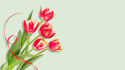 Red Tulip Bouquet with Curled Ribbon on Pastel Green Background With Copy Space. Concept of Spring Celebration, Holiday Greeting Cards, Romantic Floral Decor, and Festive Feminine Aesthetic