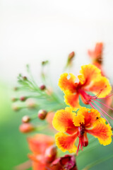 Naturally inspired, beautifully created &mdash; feel the calm of green serenity