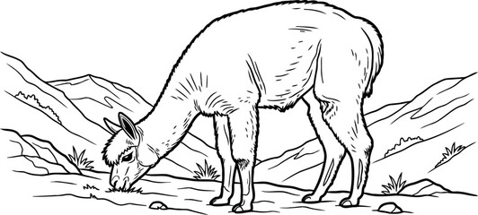 Obraz premium highland solitude a handdrawn glimpse of andean wild spirit, isolated on transparent background