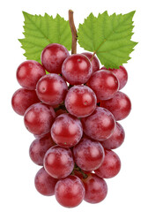 Fototapeta premium macro close-up of ripe, deep crimson bordeaux grapes with waxy bloom and detailed green leaves, isolated on a high-key transparent background. concept for fresh produce quality