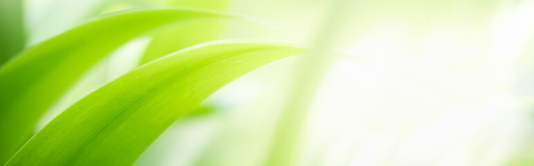 Naturally inspired, beautifully created &mdash; feel the calm of green serenity