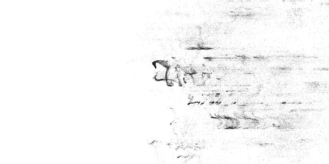 Obraz premium Abstract black and grey textured background with horizontal lines and organic shapes grunge dark