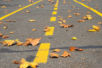 A paved road with dashed yellow center lines is covered with scattered brown and yellow autumn leaves