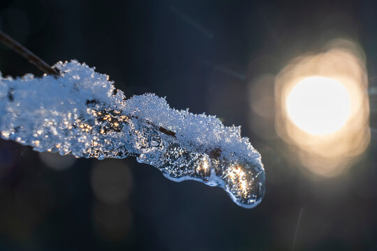 Sparkling Ice in Winter Sun, Macro