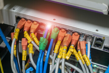 Network Cables Connected to Switch Device