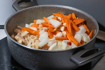 Chunks of chicken simmer with carrots, onions, and garlic in a speckled pot on the stovetop.