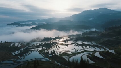 Aerial view of terraced rice fields reflecting sunlight amidst misty mountains at dawn