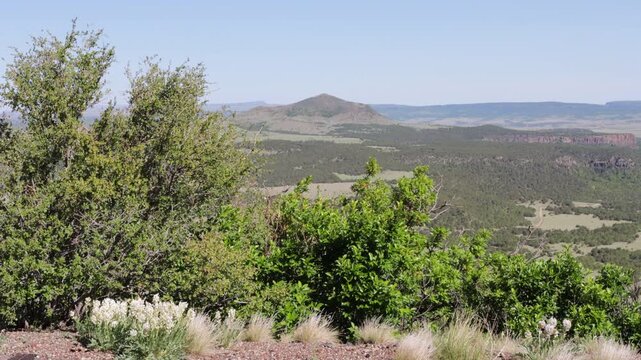 View of the Raton-Clayton Volcanic Field from the top of the cone at Capulin Volcano National Monument in northeastern New Mexico, USA