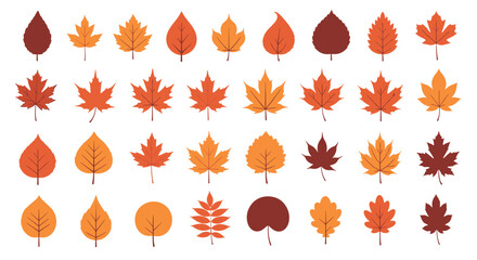 Colorful collection of various types of beautiful autumn leaves from different tree species.