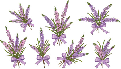 Vibrant Lavender Flower Bouquets with Purple Ribbons on White Background for Elegant Floral Designs