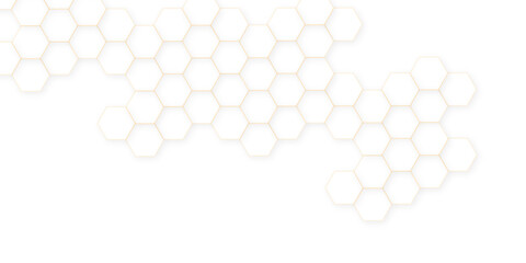 Abstract white hexagon concept background. Modern pattern polygon art in illustration art background.  geometry science and technology.