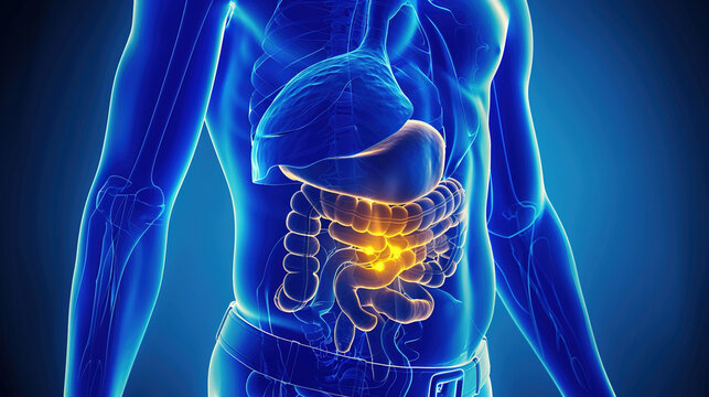 Gallbladder Cancer: Epidemiology, Pathogenesis, Clinical Presentations, and Multidisciplinary Management Strategies