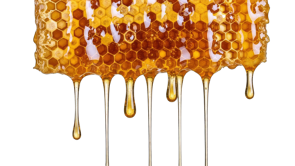 Honeycomb with Dripping Honey on White Background