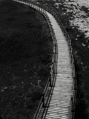 Artistic Curved Wooden Pathway Leading Through a Natural Landscape in Dramatic Black and White Photography with Strong Shadows and Minimalist Mood