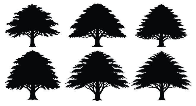Stunning collection of six distinct cedar tree silhouettes perfect for elegant nature designs and national emblems