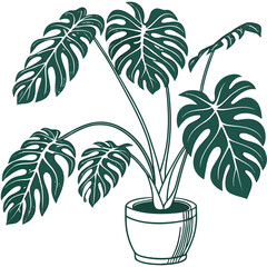 Potted philodendron plant illustration potted leaf © SUJOY