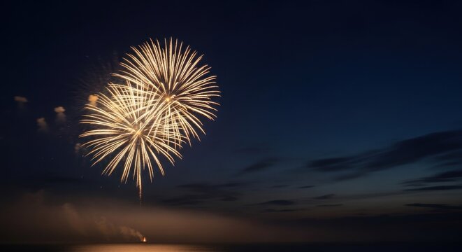 Colorful Fireworks Explosion in Night Sky