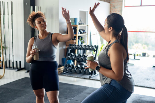 Diverse female friends holding shaker bottle and smoothie cup high-fiving near dumbbell rack in gym