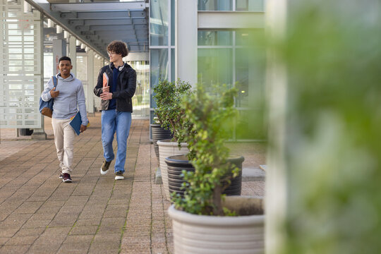 Diverse male friends walking and talking on campus path by potted shrubs with backpack and folders
