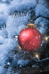 Rote Weihnachtskugel an einem Tannenzweig