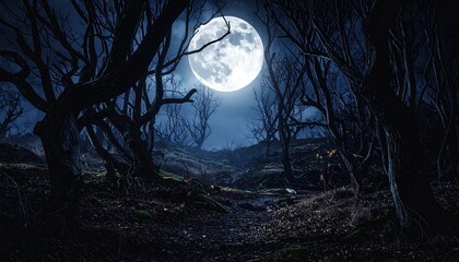 Dark eerie forest at night with full moon casting bluish glow, leafless twisted trees forming haunting silhouettes, narrow path leading into mysterious moonlit background.