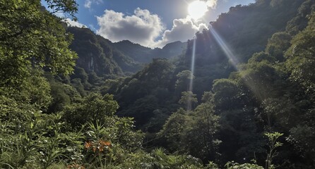 lush tropical rainforest valley with sunbeams breaking through clouds, nature landscape