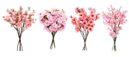 Pink cherry blossom bouquets with soft petals and delicate branches isolated on a transparent background