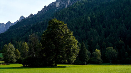 Naklejka premium Lo spettacolare sentiero delle Crode Rosse con vista sul gruppo roccioso delle Pale di San Martino. Dolomiti, San Martino di Castrozza, Trentino, Italia
