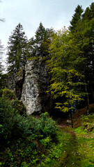 Lo spettacolare sentiero delle Crode Rosse con vista sul gruppo roccioso delle Pale di San Martino. Dolomiti, San Martino di Castrozza, Trentino, Italia