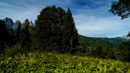 Lo spettacolare sentiero delle Crode Rosse con vista sul gruppo roccioso delle Pale di San Martino....