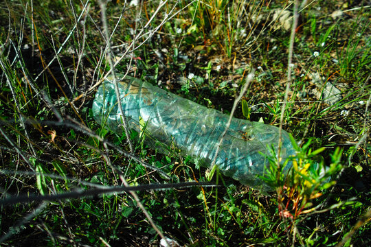 Discarded transparent plastic bottle among grass and wild plants in natural environment - Powered by Adobe