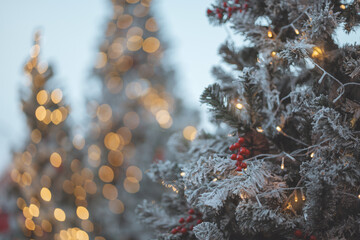Frosted Christmas tree branch with red berries and golden bokeh lights, winter holiday decoration, festive background, warm Christmas atmosphere, classic seasonal ornament detail