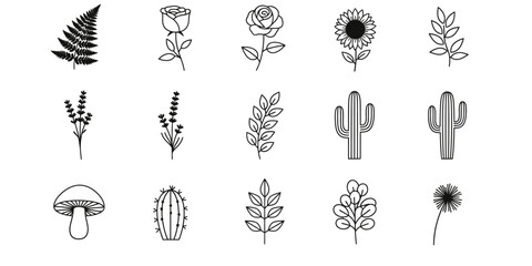 Botanical illustration set of delicate wildflowers ferns mushrooms and desert cacti sketches