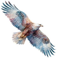 Thunderbird in watercolor painting style, vector illustration on white background.