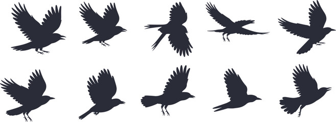 Flying bird silhouette collection, black winged shapes, avian motion icons, flight posture design, cartoon bird graphics, nature illustration