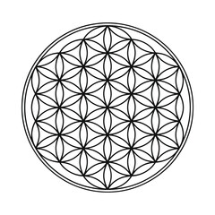 Sacred geometric flower of life symbol on white background