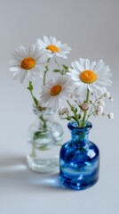 Daisies in clear and blue vases with delicate baby's breath accents on soft background