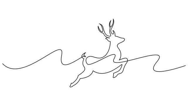Reindeer continuous one line drawing, single line art deer animal element. Full length motion