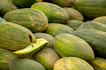 A juicy Asian melon. A harvest of ripe melons lies in a large pile in a field in the sunset light. A close-up of many melons.