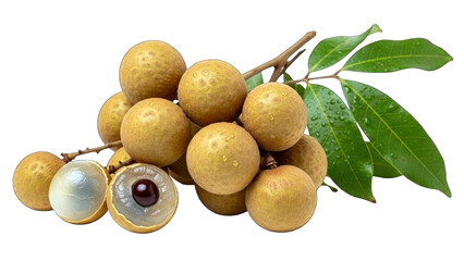 Longan Fruit with Leaves on White Background
